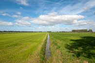 Polder landschap Drenthe van Richard Wareham thumbnail