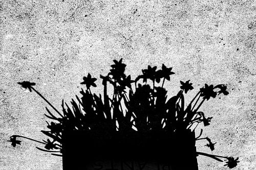 What the shadow holds back