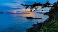 Zonsondergang Tofino Canada van Menno Schaefer thumbnail