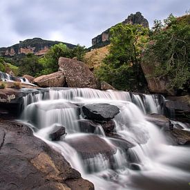 The Cascades sur TenZ .NL