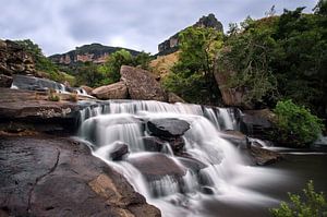 The Cascades sur TenZ .NL