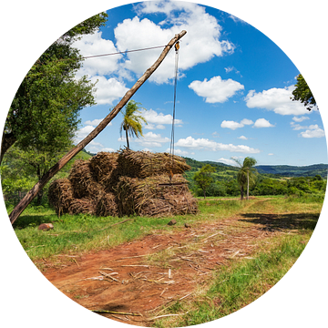 Eenvoudige kraaninrichting voor het laden van suikerriet op vrachtwagens in Paraguay. van Jan Schneckenhaus