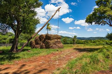 Eenvoudige kraaninrichting voor het laden van suikerriet op vrachtwagens in Paraguay. van Jan Schneckenhaus