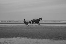 Paard en Kar van R_photography shop