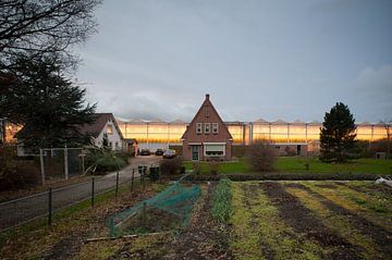 Blauwe uur in Maasdijk van Daan Overkleeft