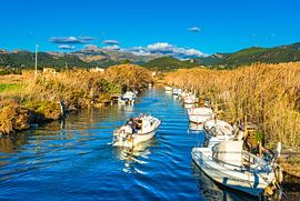 Old traditional fishing boats along river landscape in Port de Andratx, Majorca