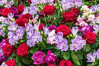 Strauß mit roten Rosen und hellblauen Freesien