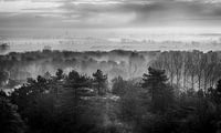 Morgennebel über Schoorl Teil 2