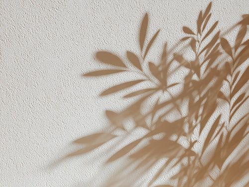 Soft Botanical Shade by Thea