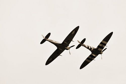 spitfire
