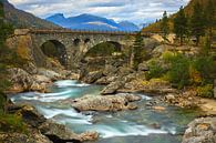 Stuguflåt-brug, Lesja, Oppland, Noorwegen van Henk Meijer Photography thumbnail