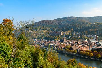 Heidelberg aan de rivier de Neckar tijdens een mooie herfstdag van Sjoerd van der Wal