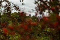 Fliegender Motocrosser