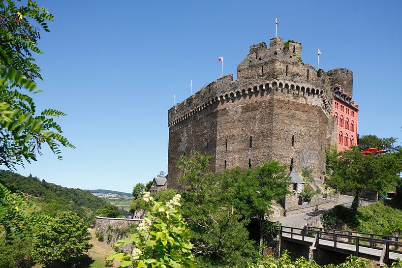 De Schönburg bij Oberwesel, Oberwesel, Unesco Werelderfgoed Obermittelrhein-dal, Rijnland-Palts, Dui van Torsten Krüger