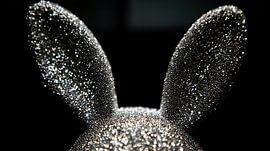 Kaninchenohren aus glitzerndem Diamant-Panorama von TheXclusive Art