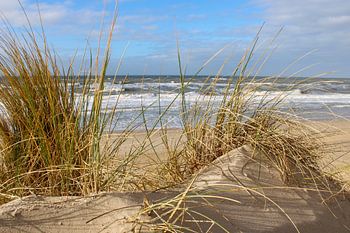 Dunes and beach
