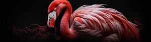 Rosa Flamingo
