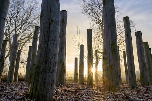 Zonsopgang Kerkbrugge