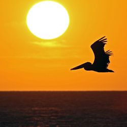 Niederländische Antillen