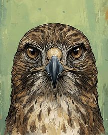 The falcon