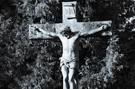Penetrating portrait of Jesus Christ on the cross by Jan Van Bizar thumbnail