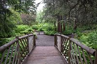 A garden path in summer
