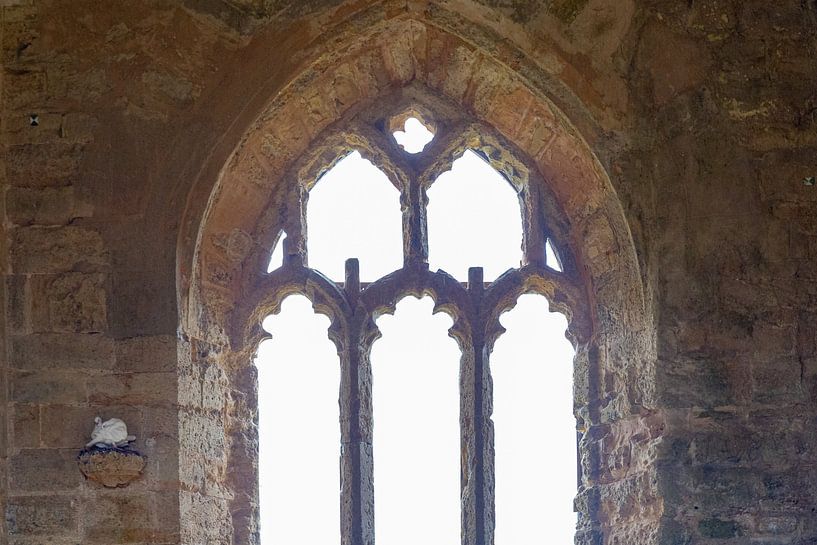 Kirchenfenster mit Turteltaube von Anneke Hooijer