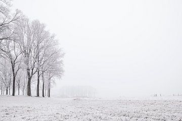 Bomen in een bevroren winterlandschap in een weiland bij Kampen van Sjoerd van der Wal