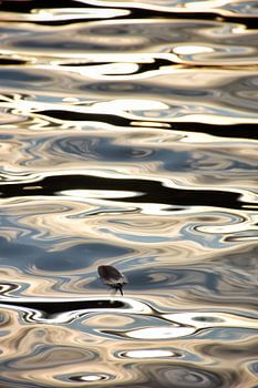 As light as a feather II