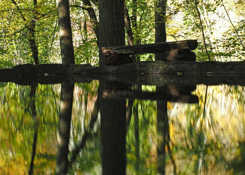 Stausee des Kallektufquel im Mullerthal im Herbst von Aagje de Jong