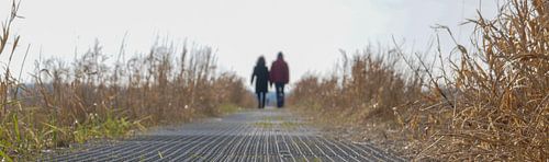 Ein Spaziergang im Park