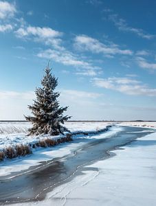 Einsamkeit im Schnee