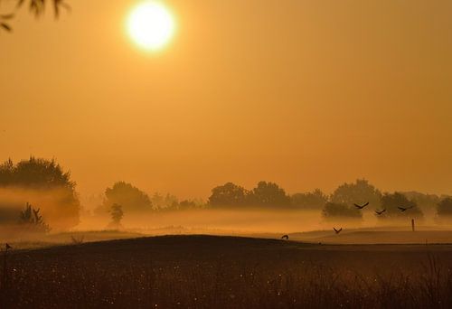zonsopgang in Nederland Twente