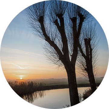 Bladloze wilgen bij zonsondergang aan een vaart in IJlst Friesland. Wout Kok One2expose van Wout Kok