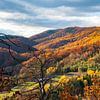 Automne dans le Waldviertel près de Senftenberg sur Gerald Lechner