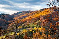 Herfst in het Waldviertel bij Senftenberg