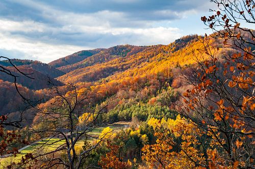 Herfst in het Waldviertel bij Senftenberg