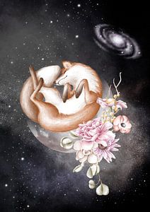 Der Fuchs träumt vom Mond
