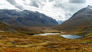 Herbstfarben Norwegen