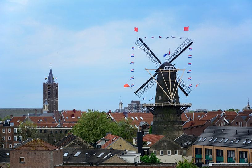 Ansicht Schiedam am Köningstag von Kok and Kok