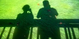 grüne schatten von Stefan Havadi-Nagy