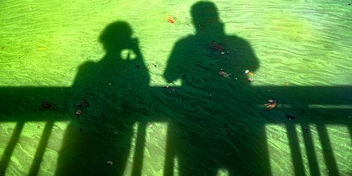 ombres vertes