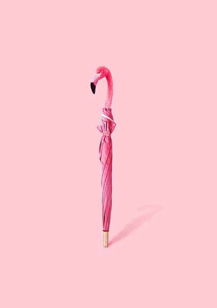 Flambrella by 360brain