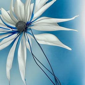 Blauw XIX - witte bloem van Lily van Riemsdijk - Art Prints with Color