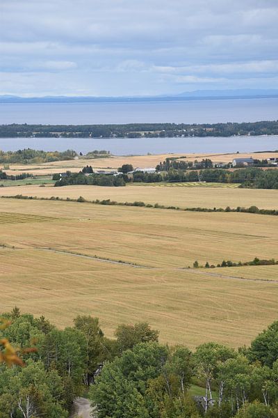 Cultivated land in summer by Claude Laprise