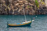 Fischerboot in Camara de Lobos auf der Insel Madeira, Portugal van Rico Ködder thumbnail