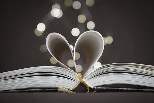 Opengeslagen boek met bladzijden, tot op het hart geslagen