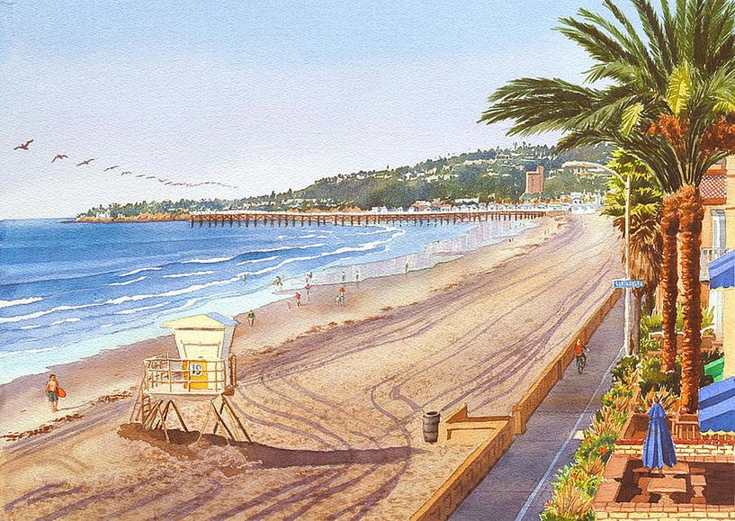 Mission Beach San Diego van erikaktus gurun