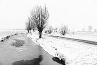Verschneite Polderlandschaft im Alblasserwaard