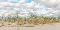 Sand-Wind-Meer